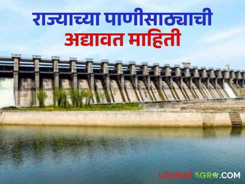 Maharashtra Dam Storage: Read 'This' updated information on water storage in the state | Maharashtra Dam Storage : राज्यातील पाण्यासाठ्याची वाचा 'ही' अद्यावत माहिती