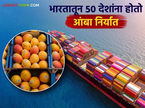 Europe is attracted to saffron and the Gulf to jasmine; India exports mangoes to 50 countries | युरोपला केसरची तर आखाताला हापूसची भुरळ; भारतातून ५० देशांना होतो आंबा निर्यात