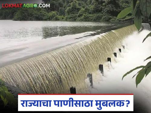 How much water is in which dam from Konkan to Vidarbha? Read the official information about the state's water reserves | कोकण ते विदर्भ कोणत्या धरणात किती पाणी? वाचा राज्याच्या पाणीसाठ्याची अधिकृत माहिती
