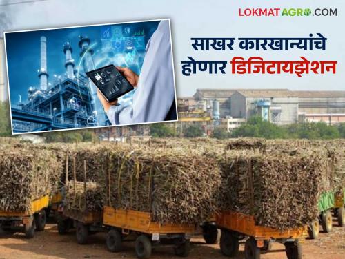 New policy for sugar industry from the central government; Read in detail what will be the benefits of the new changes for farmers | केंद्र सरकारकडून साखर उद्योगासाठी नवे धोरण; नव्या बदलांचा शेतकऱ्यांना काय होणार फायदा वाचा सविस्तर