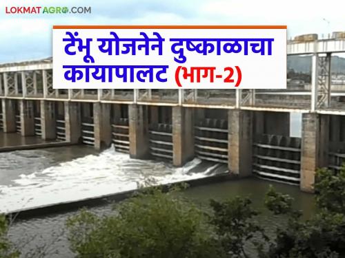 Fruit and flower gardens bloom in place of the bushes; a successful story of revival in drought-stricken areas | कुसळांच्या जागी फुलल्या फळं अन् फुलांच्या बागा; दुष्काळी भागातील पुनरुत्थानाची वाचा यशस्वी गाथा