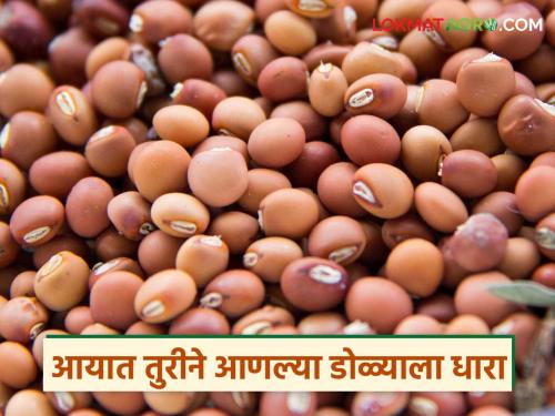 tur, which was kept aside as prices increase during the monsoon season, is finally in the market; Farmers are being hit by the sluggish market | पावसाळ्याच्या हंगामात दर वाढतात म्हणून राखून ठेवलेली तूर अखेर बाजारात; मंदावलेल्या बाजाराने शेतकऱ्यांना बसतोय फटका