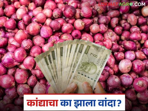 If you keep it, it rots, and if you sell it, it makes you cry; | ठेवला तर सडतोय अन् विकला की रडवतोय; कांद्याचा का झाला वांदा?