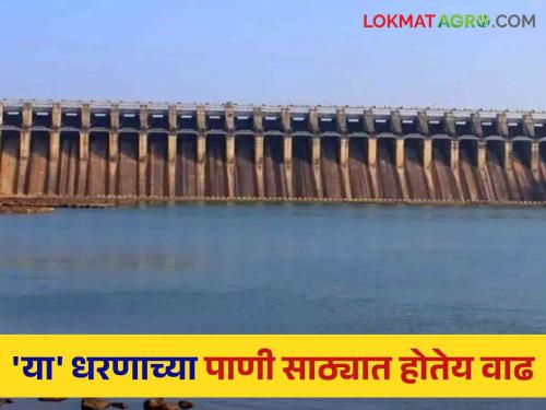 Maharashtra Dam Storage The water storage is increasing in this dam of North Maharashtra; Know the information about water resources of the state | Maharashtra Dam Storage उत्तर महाराष्ट्राच्या या धरणात वाढतोय पाणीसाठा; जाणून घ्या राज्याच्या पाणीसाठ्याची माहिती