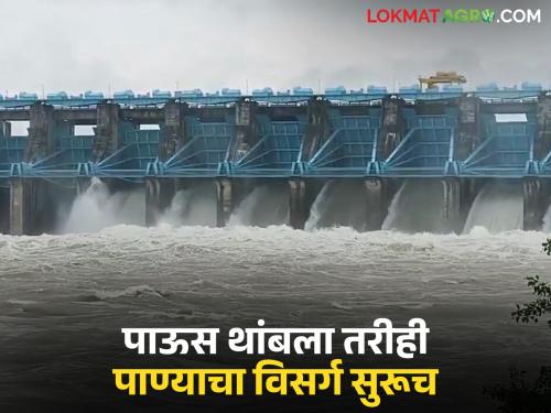 Due to this reason, water discharge continues from Pujaritola, Kalisrar, Shirpurbandh dams even after the rain has stopped. | 'या' कारणास्तव पुजारीटोला, कालीसरार, शिरपूरबांध या धरणातून पाऊस थांबला असतांनाही सुरू आहे विसर्ग