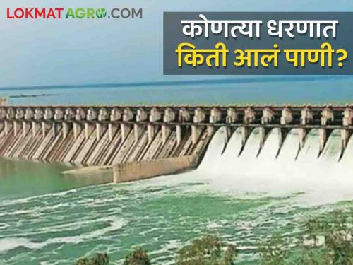 What has happened in the water reservoir in the state; Read the status of dam water storage in the state | राज्यातील जलसाठ्यात काय झालाय बदल; वाचा राज्यातील धरणाच्या पाणीसाठ्याची स्थिती