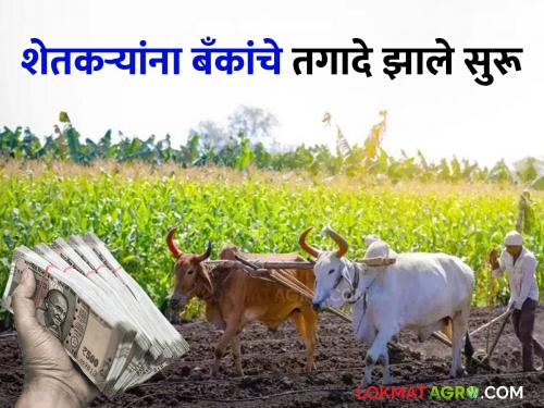 Loan waiver? no but for recovery banks have started demanding from farmers | कर्जमाफी ? छे... वसुलीसाठी मात्र शेतकऱ्यांमागे बँकांचा तगादा लागला