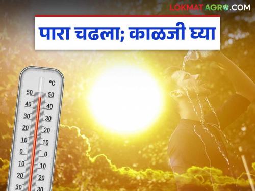 Severe summer heatwaves are affecting health; Health Department appeals to take care | तीव्र उन्हाळ्याच्या चटक्यांचा होतोय आरोग्यावर परिणाम; काळजी घेण्याचे आरोग्य विभागाचे आवाहन