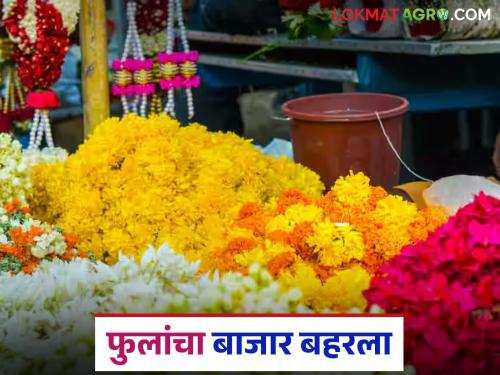Flower market booms as demand for flowers increases; Read what are the prices of which flowers | फुलांची मागणी वाढल्याने फूल बाजारात तेजी; वाचा कोणत्या फुलांना काय दर