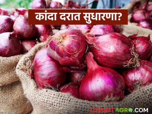 Where is the improvement in onion prices in the state? Where is the market stable; Read detailed onion market prices today | राज्यात कांदा दरात कुठे सुधारणा? कुठे बाजार स्थिर; वाचा सविस्तर आजचे कांदा बाजारभाव