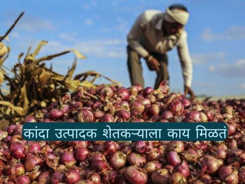 Latest News Kanda Market Farmer couple earns Rs 5 thousand 400 hundred per month from onion production | पाच महिने शेतात राबून पदरात केवळ 27 हजार रुपये, ही आहे कांदा उत्पादक शेतकऱ्याची व्यथा