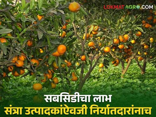 The export subsidy of oranges exported from Vidarbha to Bangladesh is benefited by the exporters instead of the producers | विदर्भातून बांगलादेशात निर्यात हाेणाऱ्या संत्र्याच्या निर्यात सबसिडीचा लाभ उत्पादकांऐवजी निर्यातदारांनाच