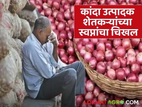 Falling onion prices have ruined farmers' dreams; Farmers' future in darkness | घसरत्या कांदा दरामुळे शेतकऱ्यांच्या स्वप्नांवर फिरले पाणी; शेतकऱ्यांचे भविष्य अंधारात