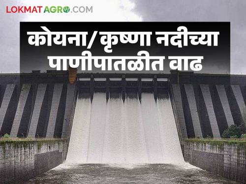 Residents near the Koyna River basin are alerted as the water level will rise | पाणीपातळीत वाढ होणार असल्याने कोयना नदी पात्राजवळील नागरिकांना सतर्कतेचा इशारा