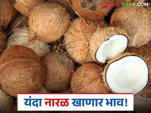 Prices increase due to slow arrival of coconuts from South India; Agricultural market somewhat stable | दक्षिण भारतातून नारळाची आवक मंदावल्याने किमतीत वाढ; शेतमाल बाजार काहीअंशी स्थिर