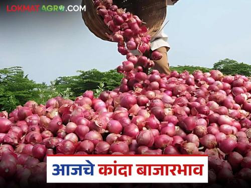 From Pune, Solapur to Nashik, Dhule; Find out where you can get the highest onion prices in today's market. | पुणे, सोलापूर ते नाशिक, धुळे; जाणून घ्या आजच्या बाजारभाव मध्ये कुठे मिळतोय सर्वाधिक कांदा दर