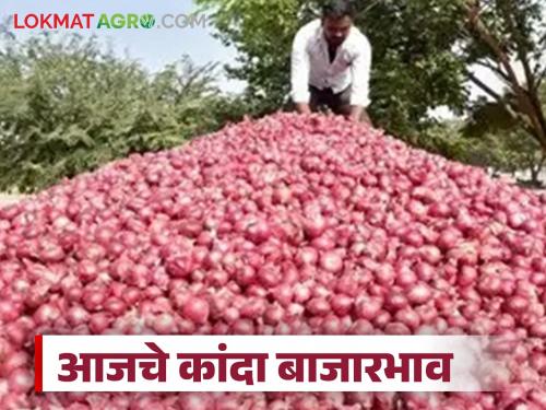 Did Sunday's low arrivals have an impact on onion prices? See today's onion market prices | कांद्याच्या दरांवर रविवारची कमी आवक ठरली का परिणामकारक? पाहा आजचे कांदा बाजारभाव