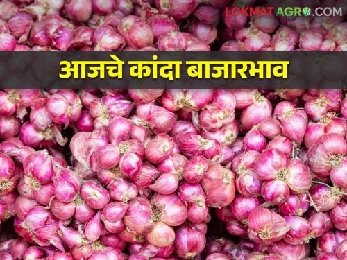 Kanda Bazaar Bhav: Chinchwad onion prices are rising; Read today's onion market price | Kanda Bajar Bhav : चिंचवड कांदा खातोय भाव; वाचा आजचे कांदा बाजारभाव
