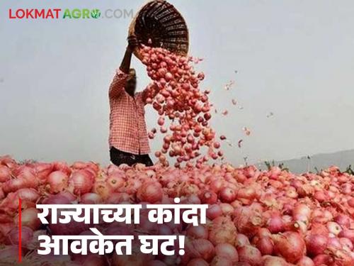 Did onion prices increase due to low arrivals on Sunday? Read today's onion market prices in the state | रविवारच्या कमी आवकमुळे वधारले का कांदा दर? वाचा राज्यातील आजचे कांदा बाजारभाव