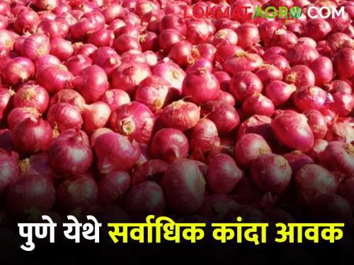 Today Onion Market Price Highest onion arrival in Pune today; Read what is getting onion rate | Today Onion Market Price पुणे येथे आज सर्वाधिक कांदा आवक; वाचा काय मिळतोय कांद्याला दर