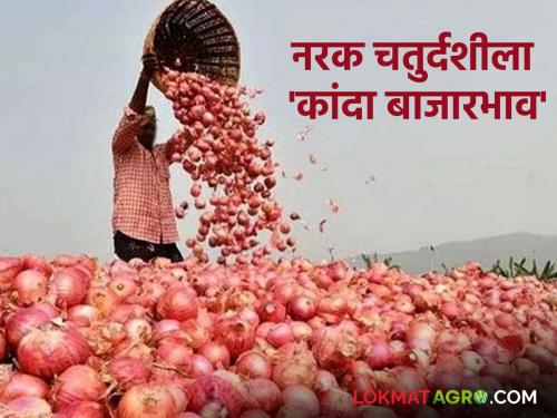 Onion Market: What is the onion market price in the state on Narak Chaturdashi; Read in detail | Onion Market : नरक चतुर्दशीला राज्यात काय आहे कांदा बाजारभाव; वाचा सविस्तर