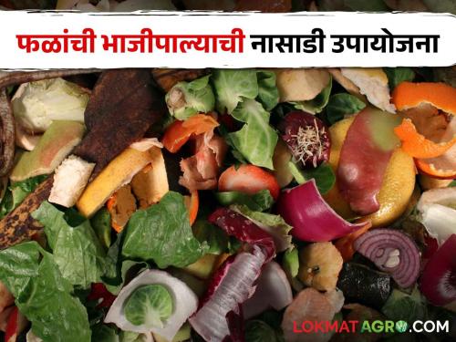 Fruit and vegetable processing spoilage factors and their remedies | फळे व भाजीपाला प्रक्रिया पदार्थाची नासाडी करणारे घटक व त्यावरील उपायोजना