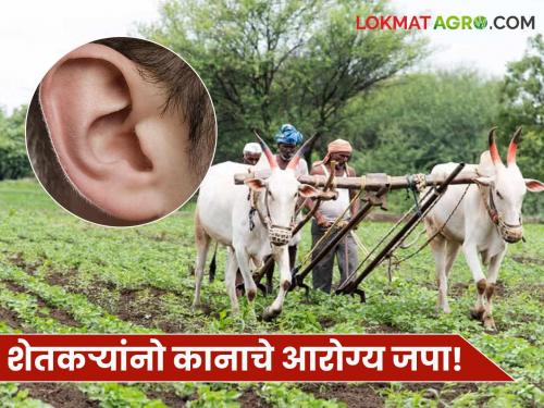 Dust and soil particles while working can be harmful to the ears; Farmers, take care of your ear health in this way | काम करतांना धूळ अन् मातीचे कण कानासाठी ठरू शकतात परिणामकारक; शेतकरी बांधवांनो 'असे' जपा कानाचे आरोग्य