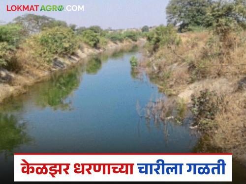 Leakage in Dangsaudane area of Keljar Dam; Citizens demand repair of the breach | केळझर धरणाच्या चारीला डांगसौदाणे परिसरात गळती; भगदाड दुरुस्त करावे नागरिकांनी मागणी