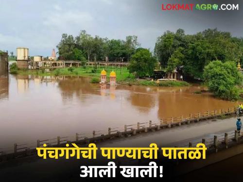 Where is the discharge going on and where is heavy rain in Kolhapur district; Read in detail | कोल्हापूर जिल्ह्यात कुठे सुरू आहे विसर्ग तर कुठे जोरदार पाऊस; वाचा सविस्तर
