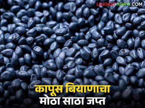 Large stock of cotton seeds seized; Action taken by raiding at Bharwade in Shirpur taluka | कापूस बियाणाचा मोठा साठा जप्त; शिरपूर तालुक्यातील भरवाडे येथे छापा टाकत कारवाई