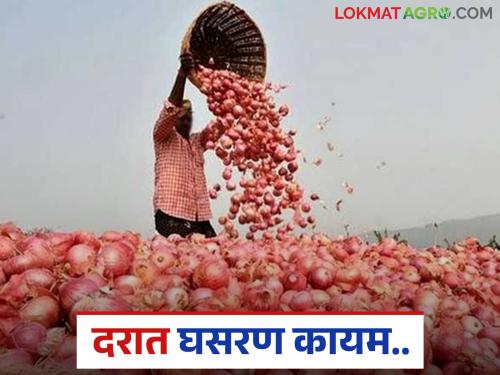 Kanda Bazaar Bhav: Disappointment of onion producers; Read today's onion market price | Kanda Bajar Bhav : कांदा उत्पादकांचा भ्रमनिरास; वाचा आजचे कांदा बाजारभाव