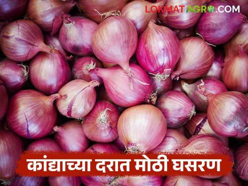 Big drop in onion prices in Phaltan Market Committee; Onion producers are facing financial loss | फलटण बाजार समितीत कांद्याच्या दरात मोठी घसरण; कांदा उत्पादकांना बसतोय आर्थिक फटका