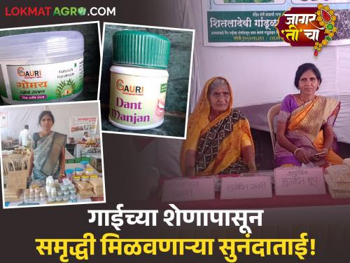 7 products made from cow dung and urine; The story of Sunandatai, who gained wealth from cows | गाईच्या शेण-गोमूत्रातून ७ उत्पादने; गाईपासून समृद्धी मिळवणाऱ्या सुनंदाताईंची कहाणी
