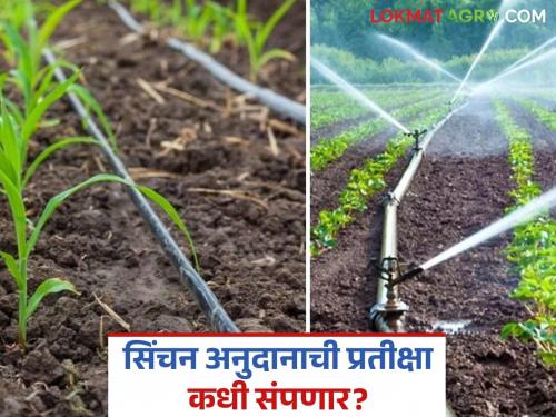Rs 5.5 crore subsidy of Pradhan Mantri Krishi Srichan Yojana is overdue; Who is responsible? Farmers question | पंतप्रधान कृषी सिंचन योजनचे पावणेपाच कोटी अनुदान थकले; कोण जबाबदार? शेतकऱ्यांचा सवाल