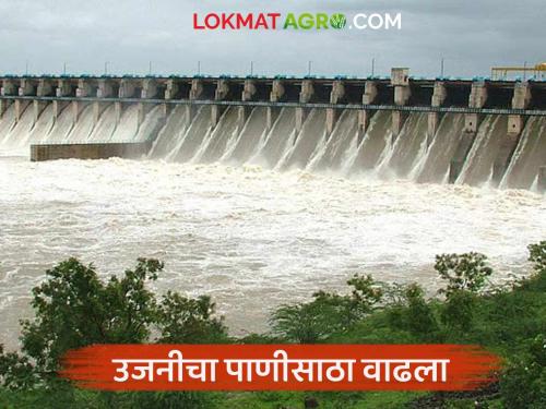 Ujani water storage increased; 137 mm of rainfall recorded in the last eight days in the dam area | उजनीचा पाणीसाठा वाढला; धरण क्षेत्रात गेल्या आठ दिवसांत १३७ मि.मी. पावसाची नोंद