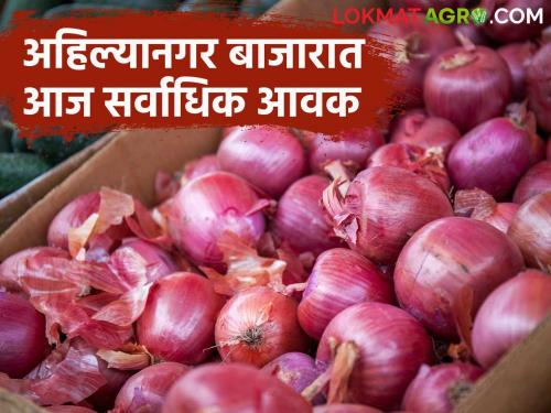 Kanda Bazaar Bhav: What is the price of onion in the state at the end of July? Read today's onion market price | Kanda Bajar Bhav : जुलै अखेर राज्यात कांद्याला काय मिळतोय दर? वाचा आजचे कांदा बाजारभाव