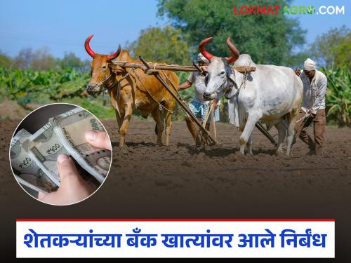 Restrictions have been imposed on the bank accounts of one lakh farmers in 'this' district of the state; Read what is the matter | राज्याच्या 'या' जिल्ह्यातील एक लाख शेतकऱ्यांच्या बँक खात्यांवर आले निर्बंध; वाचा काय आहे प्रकरण