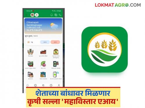 Agriculture will get support from technology; All information from crop management to market is now at one click | शेतीला मिळणार तंत्रज्ञानाची साथ; पीक व्यवस्थापनापासून ते बाजारापर्यंत सर्व माहिती आता एका क्लिकवर