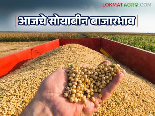 Soybean Bazaar Bhav: How much impact is the arrival having on market prices; Read today's soybean market prices in the state | Soybean Bajar Bhav : आवकेचा किती परिणाम होतोय बाजार दरावर; वाचा राज्यातील आजचे सोयाबीन बाजारभाव