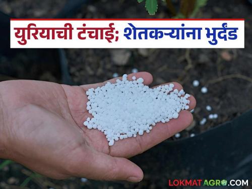 Farmers complain that urea is not available at agricultural centers, while the system says there is plenty of stock. | कृषी केंद्रांवर युरियाच उपलब्ध नसल्याची शेतकऱ्यांची तारांबळ तर यंत्रणा म्हणते स्टॉक भरपूर