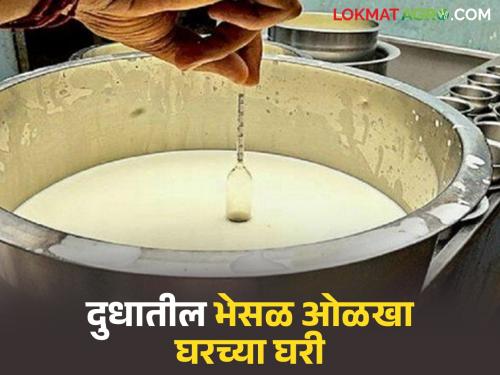 Identify adulterated milk at home; 'These' home tests will expose milk adulteration | भेसळयुक्त दूध ओळखा घरच्या घरी; 'या' घरगुती चाचण्या करतील दूध भेसळीचा पर्दाफाश