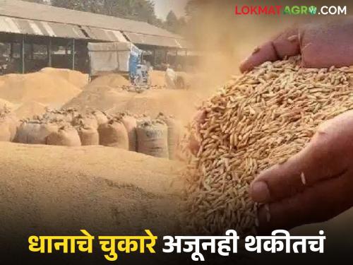Summer season paddy dues still outstanding; Farmers criticize government for pretending to be asleep | उन्हाळी हंगामातील धानाचे चुकारे अजूनही थकीतचं; शासनाने झोपेचे सोंग घेतल्याची शेतकऱ्यांची टीका