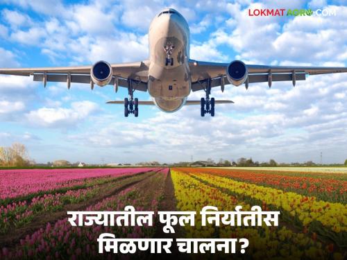 Enrich the flower farmers of the state through training; Marketing Minister instructs officials | राज्यातील फूल उत्पादक शेतकऱ्यांना प्रशिक्षणातून समृद्ध करा; पणनमंत्र्यांनी दिल्या अधिकाऱ्यांना सूचना