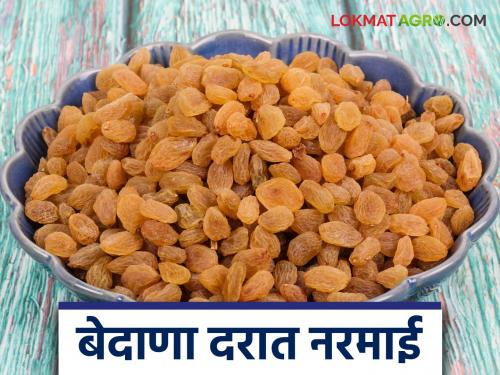 Currant prices in the Indian market fell by 25 percent as Chinese currants invaded | चिनी बेदाण्याचे आक्रमण होताच भारतीय बाजारात बेदाणा दर २५ टक्क्यांनी उतरले