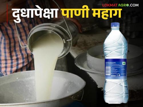 Milk Rate Of Maharashtra Why is the water bottle more expensive than farmers' milk? | Milk Rate Of Maharashtra शेतकऱ्यांच्या दुधापेक्षा पाण्याच्या बाटलीला अधिक भाव का?