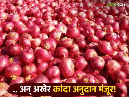 The way for onion subsidy is clear; Onion subsidy of Rs 52 lakh 71 thousand 644 has finally been approved for 'those' farmers | कांदा अनुदानाचा मार्ग मोकळा; 'त्या' शेतकऱ्यांना ५२ लाख ७१ हजार ६४४ रुपयांचे कांदा अनुदान अखेर मंजूर
