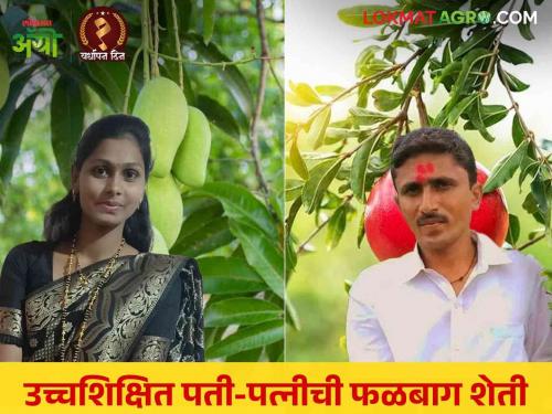 Farmer Success Story A highly educated husband and wife found their way to 'progress' through orchard farming | Orchard Farming Success Story : उच्चशिक्षित पती-पत्नीने फळबाग शेतीतून शोधला 'प्रगती'चा मार्ग