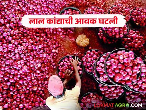 Onion Market Rate: Nashik's onion dominates the market; Read what rates are available | Onion Market Rate : बाजारात नाशिकच्या कांद्याचा दबदबा; वाचा काय मिळतोय दर