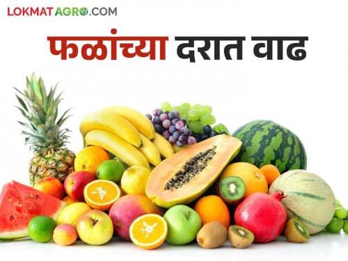 Fruits Market: Increase in price of fruits; Due to epidemics, fasting increased the demand in the market | Fruits Market : फळांच्या दरात वाढ; साथीचे आजार, उपवासामुळे बाजारात मागणी वाढली