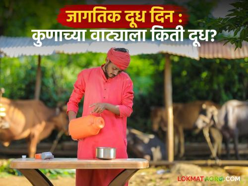 How much milk does each person in the state get compared to production? Read what the NDDB report says | उत्पादनाच्या तुलनेत राज्यातील प्रत्येकाच्या वाट्याला 'किती' येते दूध! वाचा काय सांगतो एनडीडीबीचा अहवाल